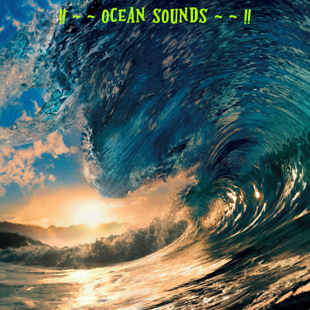 !! ~ ~ Ocean Sounds ~ ~ !!