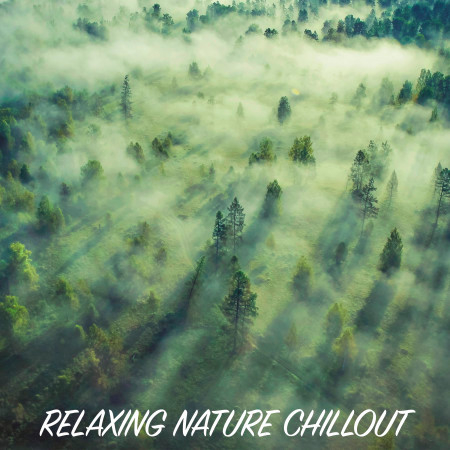 Relaxing Nature Chillout