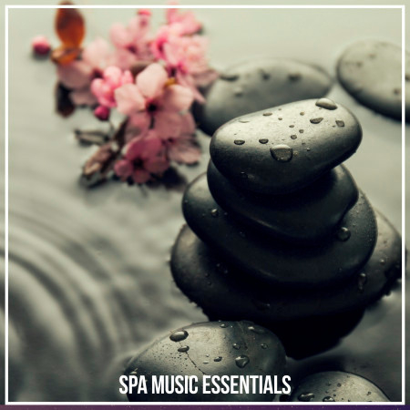 Spa Music Essentials