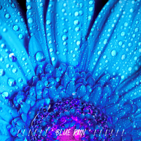 ! ! ! ! ! ! " Blue Rain " ! ! ! ! ! !