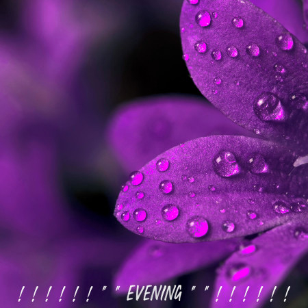 Soothing Night Rain