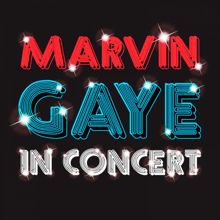 Marvin Gaye in Concert