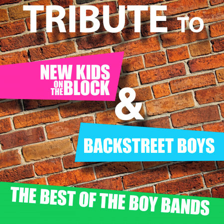 Tribute to New Kids On The Block and Backstreet Boys: The Best of the Boy Bands