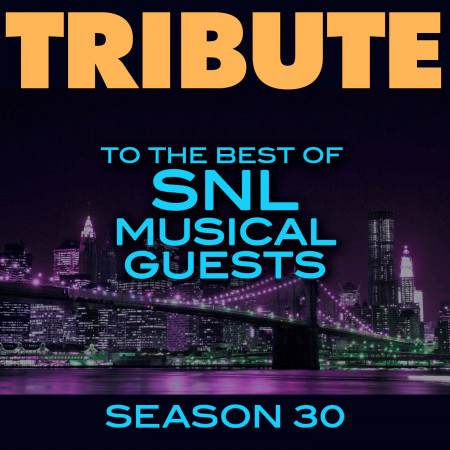 Tribute to the Best of SNL Musical Guests Season 30