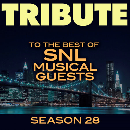 Tribute to the Best of SNL Musical Guests Season 28