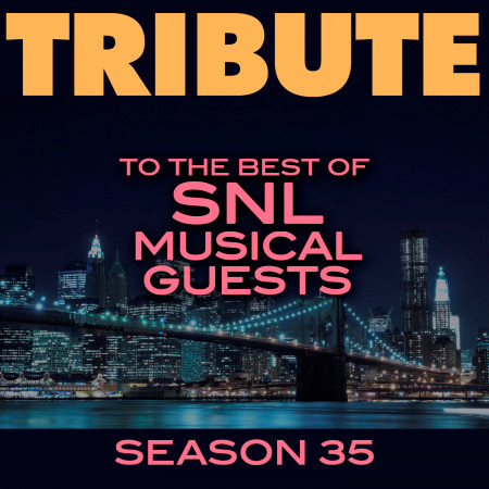 Tribute to the Best of SNL Musical Guests Season 35