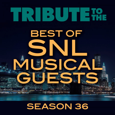 Tribute to the Best of SNL Musical Guests Season 36