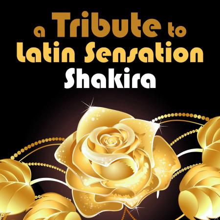 A Tribute to Latin Sensation Shakira