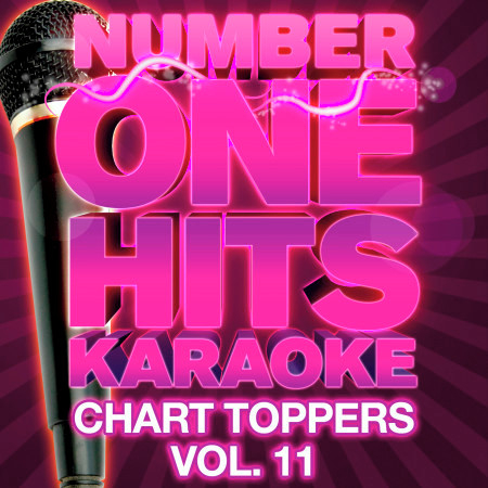 Number One Hits Karaoke: Chart Toppers Vol. 11