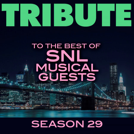 Tribute to the Best of SNL Musical Guests Season 29