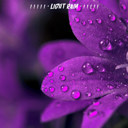 ! ! ! ! ! " Light Rain " ! ! ! ! !