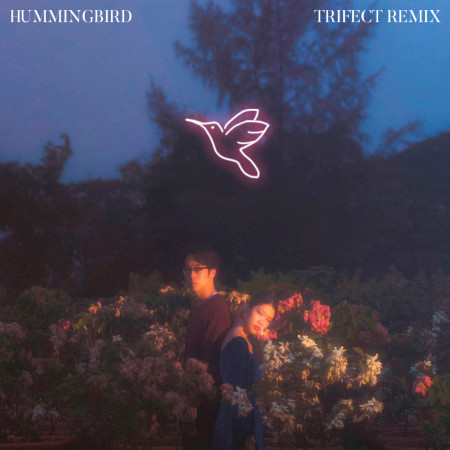 Hummingbird (Trifect Remix)
