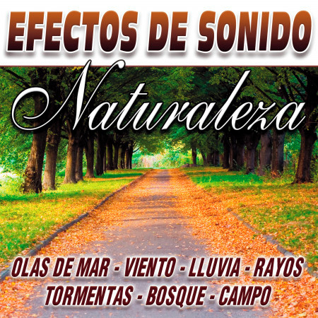 Efectos De Sonido Vol.9