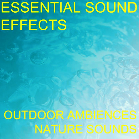 Essential Sound Effects 1 - Outdoor Ambiences, Nature Sounds