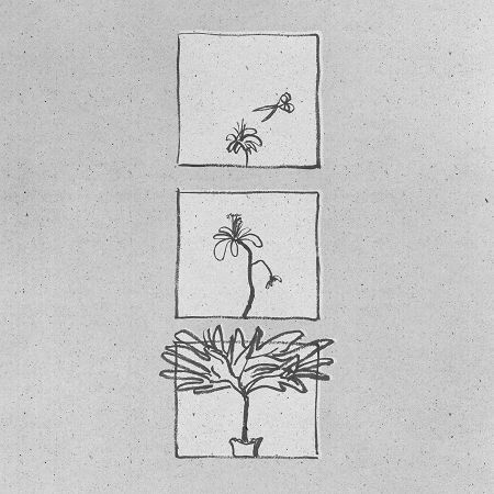 不擅於幻想的人