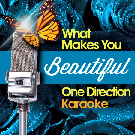 What Makes You Beautiful - One Direction Karaoke