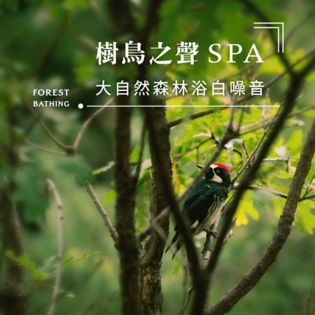 樹鳥之聲SPA．大自然森林浴白噪音 (Forest Bathing)