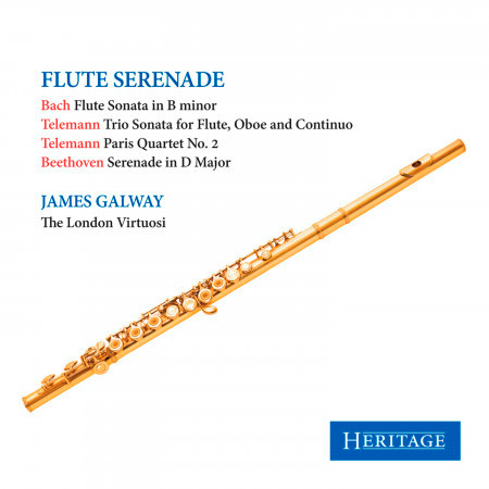 Flute Serenade