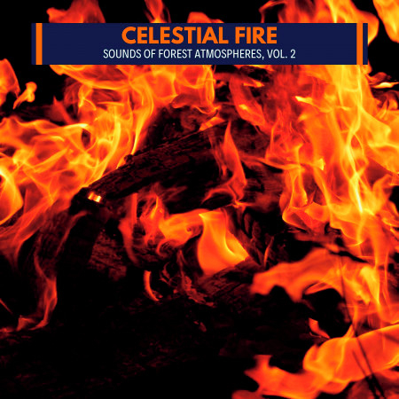 Celestial Fire - Sounds of Forest Atmospheres, Vol. 2