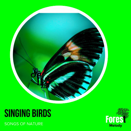 Singing Birds - Songs of Nature