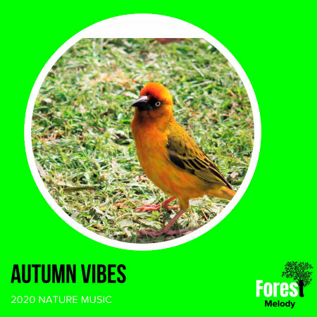 Autumn Vibes - 2020 Nature Music