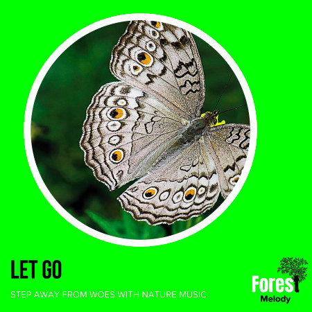 Let Go - Step Away from Woes with Nature Music