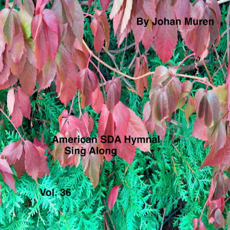 American Sda Hymnal Sing Along Vol.36