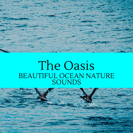 The Oasis - Beautiful Ocean Nature Sounds