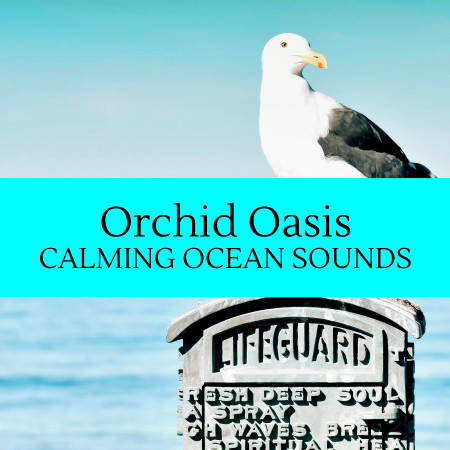 Orchid Oasis - Calming Ocean Sounds