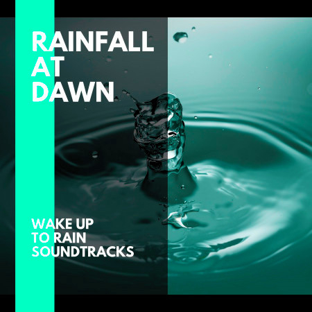 Rainfall at Dawn - Wake Up to Rain Soundtracks