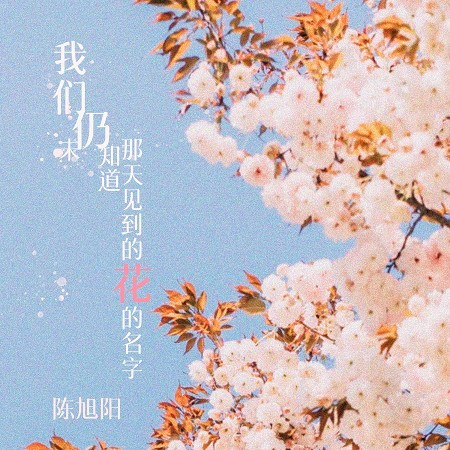專輯封面