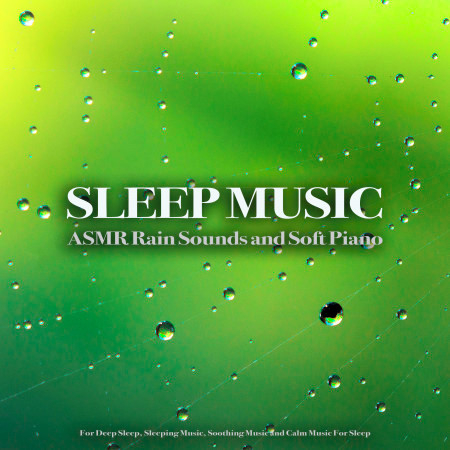 Music For Sleep and Rain Sounds