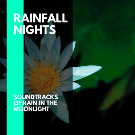 Rainfall Nights - Soundtracks of Rain in the Moonlight