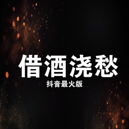 借酒澆愁(抖音最火版)