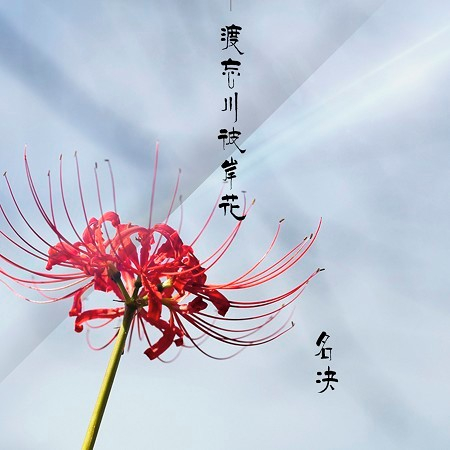 專輯封面