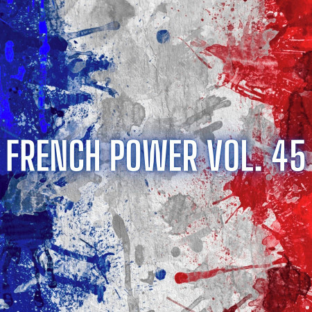 French Power Vol. 45