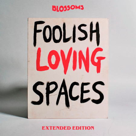 Foolish Loving Spaces (Extended Edition) 專輯封面