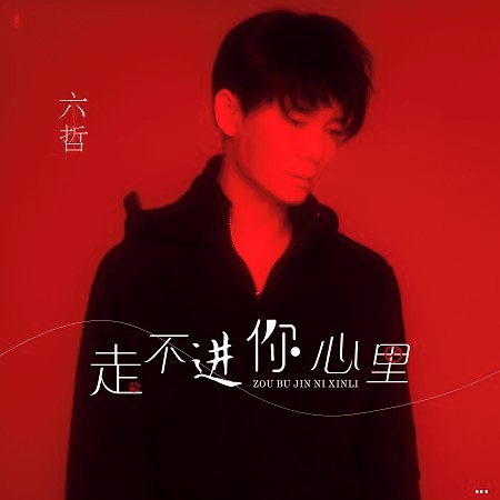 走不進你心裡