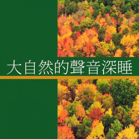專輯封面