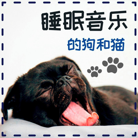 睡眠音樂的狗和貓: 睡眠深, 爲寵物放鬆和睡眠音樂, 睡眠的功效 專輯封面