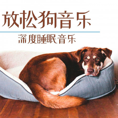 放鬆狗音樂: 深度睡眠音樂, 治癒貓和狗的音樂, 輕鬆的音樂狗和貓