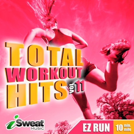 Total Workout Hits, Vol.11 E Z Run 2