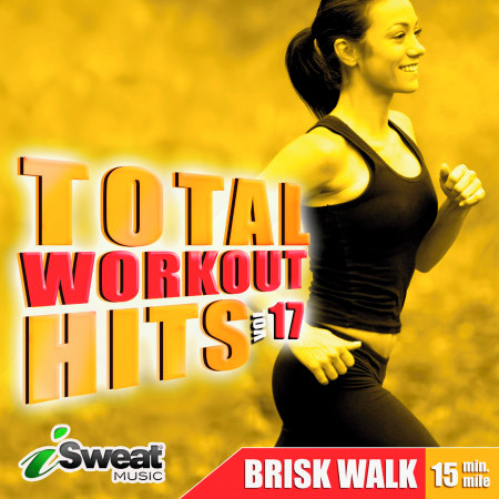 Total Workout Hits - Vol. 17