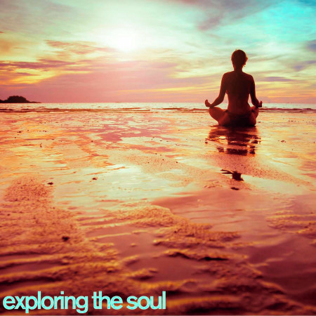 Exploring the Soul