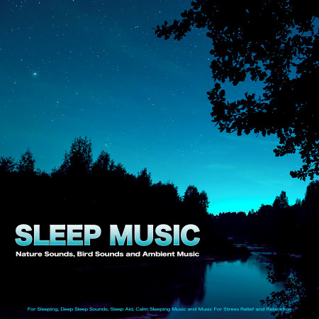 Sleep Music: Nature Sounds, Bird Sounds and Ambient Music For Sleeping, Deep Sleep Sounds, Sleep Aid, Calm Sleeping Music and Music For Stress Relief and Relaxation