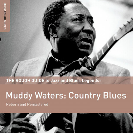 Rough Guide To Muddy Waters: Country Blues