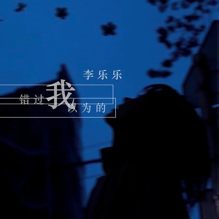 我以為的錯過（DJ阿卓版）