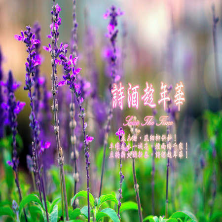 東方冥想音樂系列 (3): 詩酒趁年華