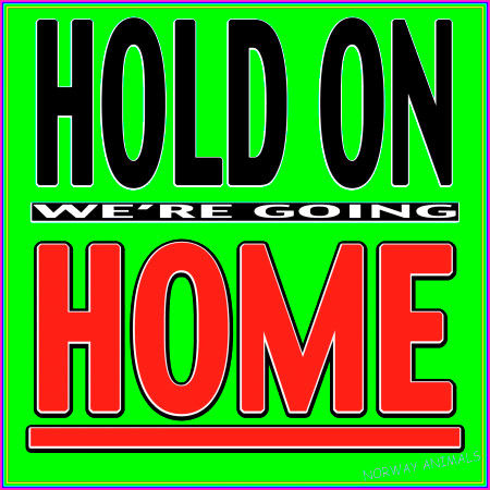 Hold On, We're Going Home