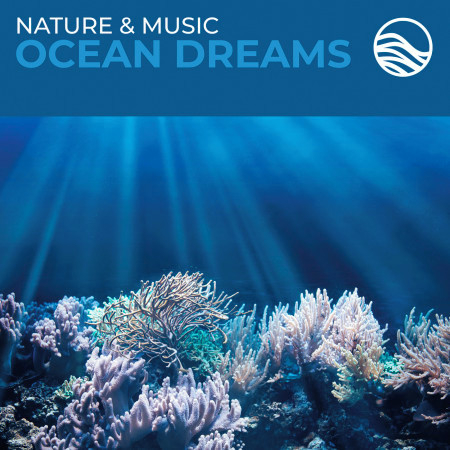 Nature & Music: Ocean Dreams